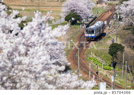 【のと鉄道】桜咲く西岸駅の俯瞰 85704366
