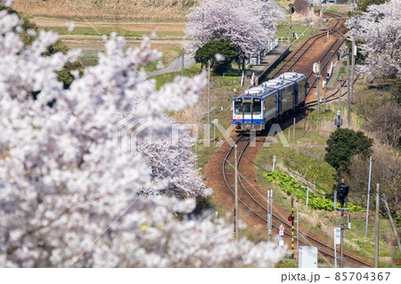 【のと鉄道】桜咲く西岸駅の俯瞰 【のと鉄道】桜咲く西岸駅の俯瞰 85704367