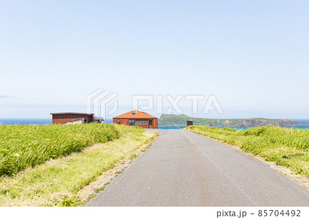 礼文島の風景 85704492