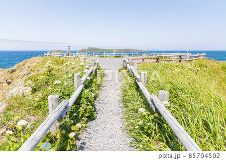 礼文島の風景 85704502