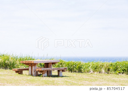 礼文島の風景 85704517