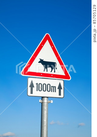 Cow sign 85705129