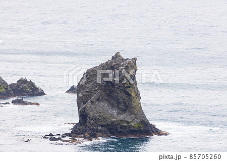 礼文島の風景 85705260