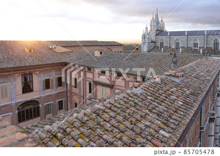 シエナの夕暮れ / Panorama del Facciatone, Siena, Toscana シエナの夕暮れ / Panorama del Facciatone, Siena, Toscana 85705478