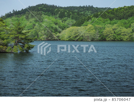 三重県 田代池 85706047