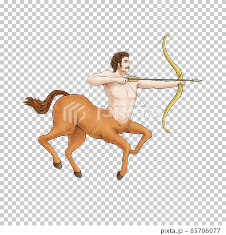 いて座・星座絵・夏の星座・カラー いて座・星座絵・夏の星座・カラー 85706077