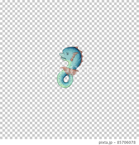 いるか座・星座絵・夏の星座・カラー 85706078