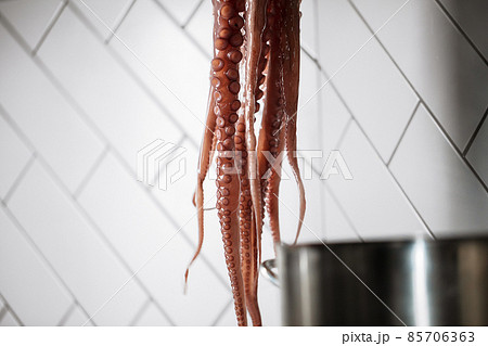 Hanging raw octopus in restaurant kitchen ready for cooking Hanging raw octopus in restaurant kitchen ready for cooking 85706363