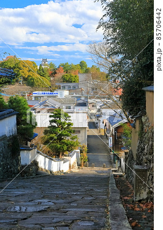 【大分県】勘定場の坂から望む杵築城天守閣 85706442