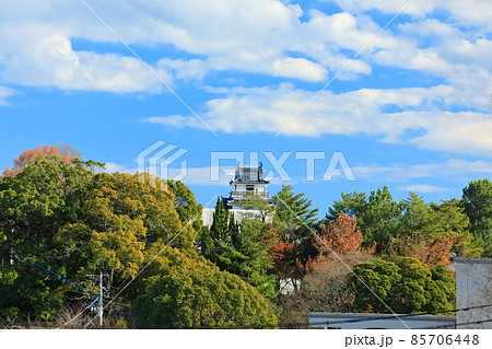 【大分県】勘定場の坂から望む杵築城天守閣 85706448