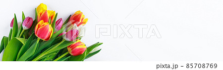 Colorful bouquet of fresh spring tulips on white background. Happy Easter, holiday symbol. Place for text. Colorful bouquet of fresh spring tulips on white background. Happy Easter, holiday symbol. Place for text. 85708769