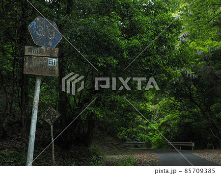 三重県 県道39号 85709385