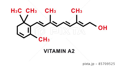 Vitamin A2 chemical formula. Vitamin A2 chemical molecular structure. Vector illustration 85709525