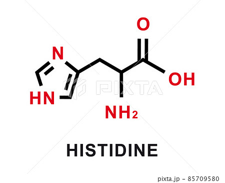 Histidine chemical formula. Histidine chemical molecular structure. Vector illustration 85709580