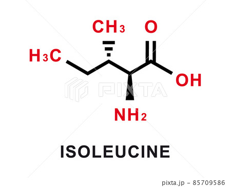 Isoleucine chemical formula. Isoleucine chemical molecular structure. Vector illustration 85709586