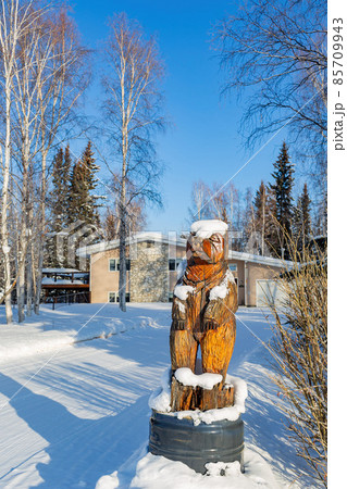 Sunny view of winter landscape Sunny view of winter landscape 85709943