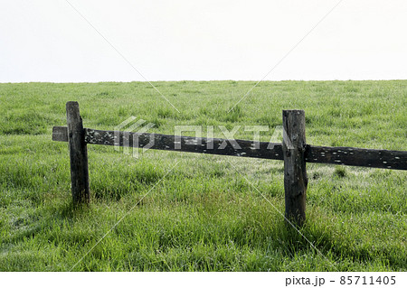 朝霧に包まれる夏の朝の牧場　 85711405