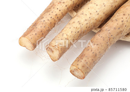 長芋 85711580