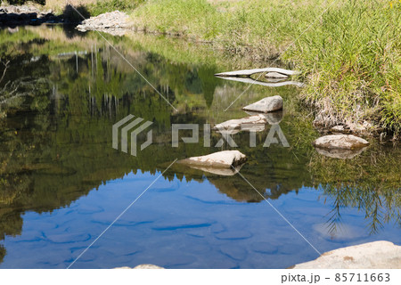 川底の見えるしずかな清流 川底の見えるしずかな清流 85711663