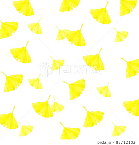 舞い散る黄色いイチョウの葉の背景　秋の手描き水彩イラスト素材 85712102