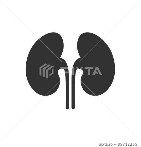 Kidney vector renal care icon. Urology kidney black icon logo flat symbol 85712255