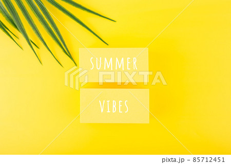 Holiday backdrop with summer vibes inscription on yellow background with palm leaf. Creative summer composition 85712451