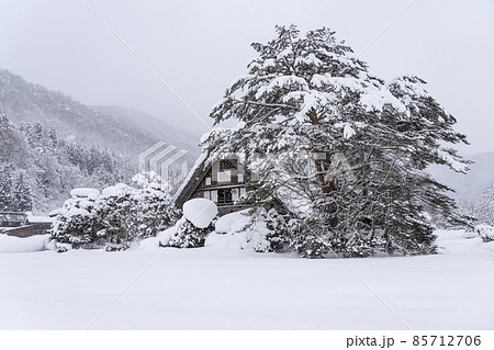 雪の白川郷(岐阜県) 雪の白川郷(岐阜県) 85712706