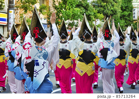 東京都　高円寺阿波おどり 85713264