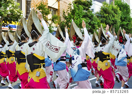 東京都 高円寺阿波おどり 東京都 高円寺阿波おどり 85713265