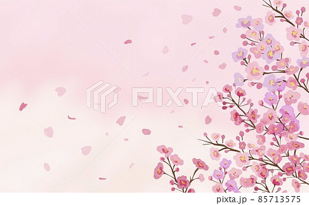 水彩画イラスト。満開の桜。ピンク色の桜背景。桜と舞う花びら。 85713575