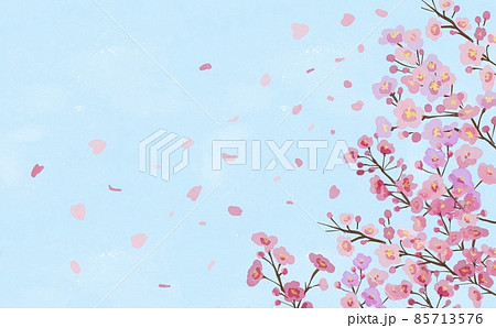 水彩画イラスト。満開の桜。青空の桜背景。桜と舞う花びら 85713576