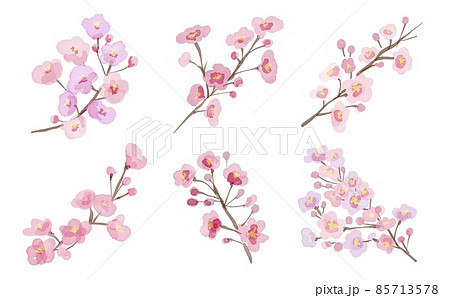 水彩画イラスト。枝つきの桜。桜イラスト。桜のイラストバラバラセット。 85713578