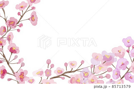 水彩画イラスト。春の桜背景。桜フレーム。枝つきの桜。 85713579