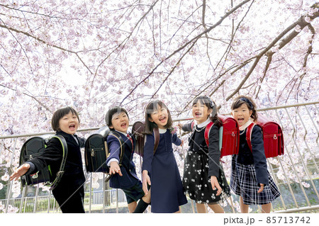 桜の咲く公園に集う新一年生 桜の咲く公園に集う新一年生 85713742