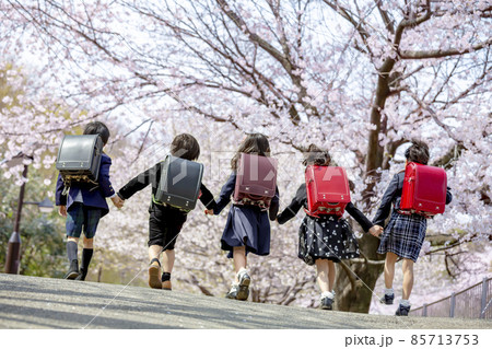 桜の咲く公園を歩く新一年生の後ろ姿 85713753