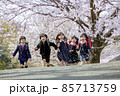 桜の咲く公園を走る新一年生 85713759