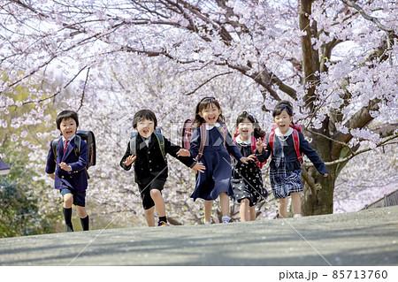 桜の咲く公園を走る新一年生 桜の咲く公園を走る新一年生 85713760
