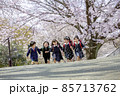 桜の咲く公園を走る新一年生 85713762