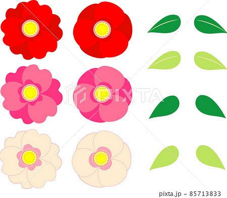 椿の花と葉のイラスト素材セット 85713833