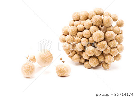 Brown shimeji mushroom isolated on white background. Japanese food 85714174