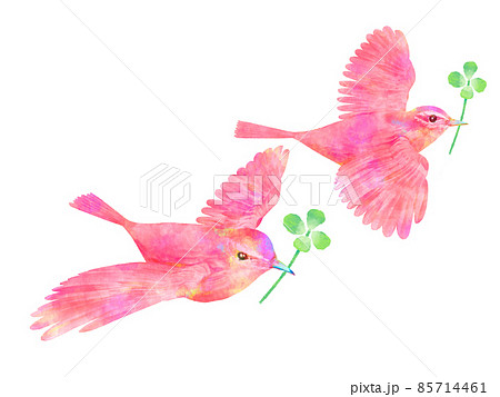 赤い鳥と四つ葉のクローバー 水彩画風 手書き風のイラスト素材