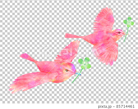 赤い鳥と四つ葉のクローバー 水彩画風 手書き風 赤い鳥と四つ葉のクローバー 水彩画風 手書き風 85714461