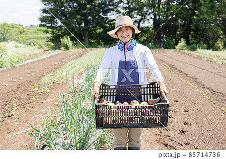 畑仕事をする農業ガール 85714736