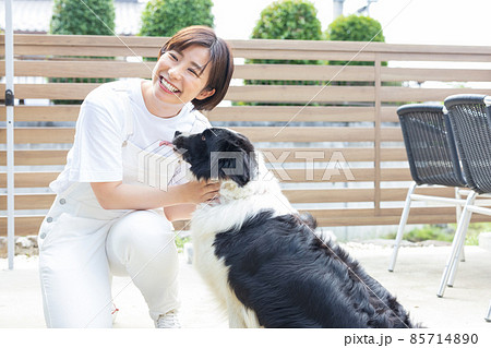 ボーダーコリーとかわいい女性の写真素材