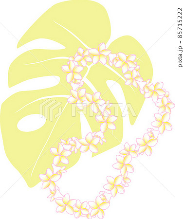 モンステラとプルメリアのハワイアンレイ イエロー モンステラとプルメリアのハワイアンレイ イエロー 85715222