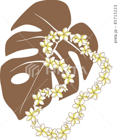 モンステラとプルメリアのハワイアンレイ ブラウン モンステラとプルメリアのハワイアンレイ ブラウン 85715223