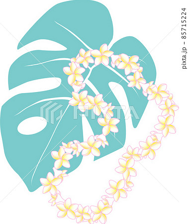 モンステラとプルメリアのハワイアンレイ ライトブルー モンステラとプルメリアのハワイアンレイ ライトブルー 85715224