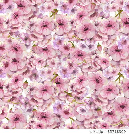 Seamless pattern with blossoming sakura branches on a white background. Watercolor illustration drawn by hand Seamless pattern with blossoming sakura branches on a white background. Watercolor illustration drawn by hand 85718309