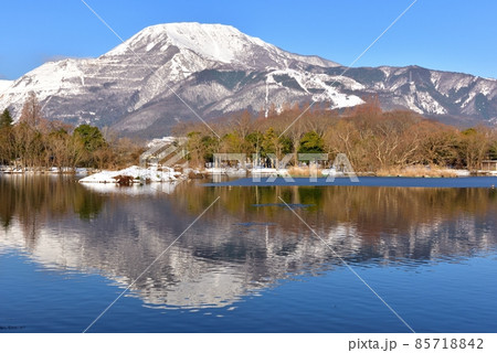 雪の伊吹山 雪の伊吹山 85718842
