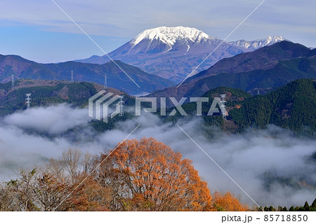 明地峠からの大山(伯耆富士)と雲海 明地峠からの大山(伯耆富士)と雲海 85718850